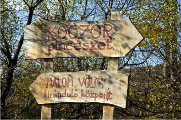 באלאטונפורד Koczor Winery & Guesthouse מראה חיצוני תמונה