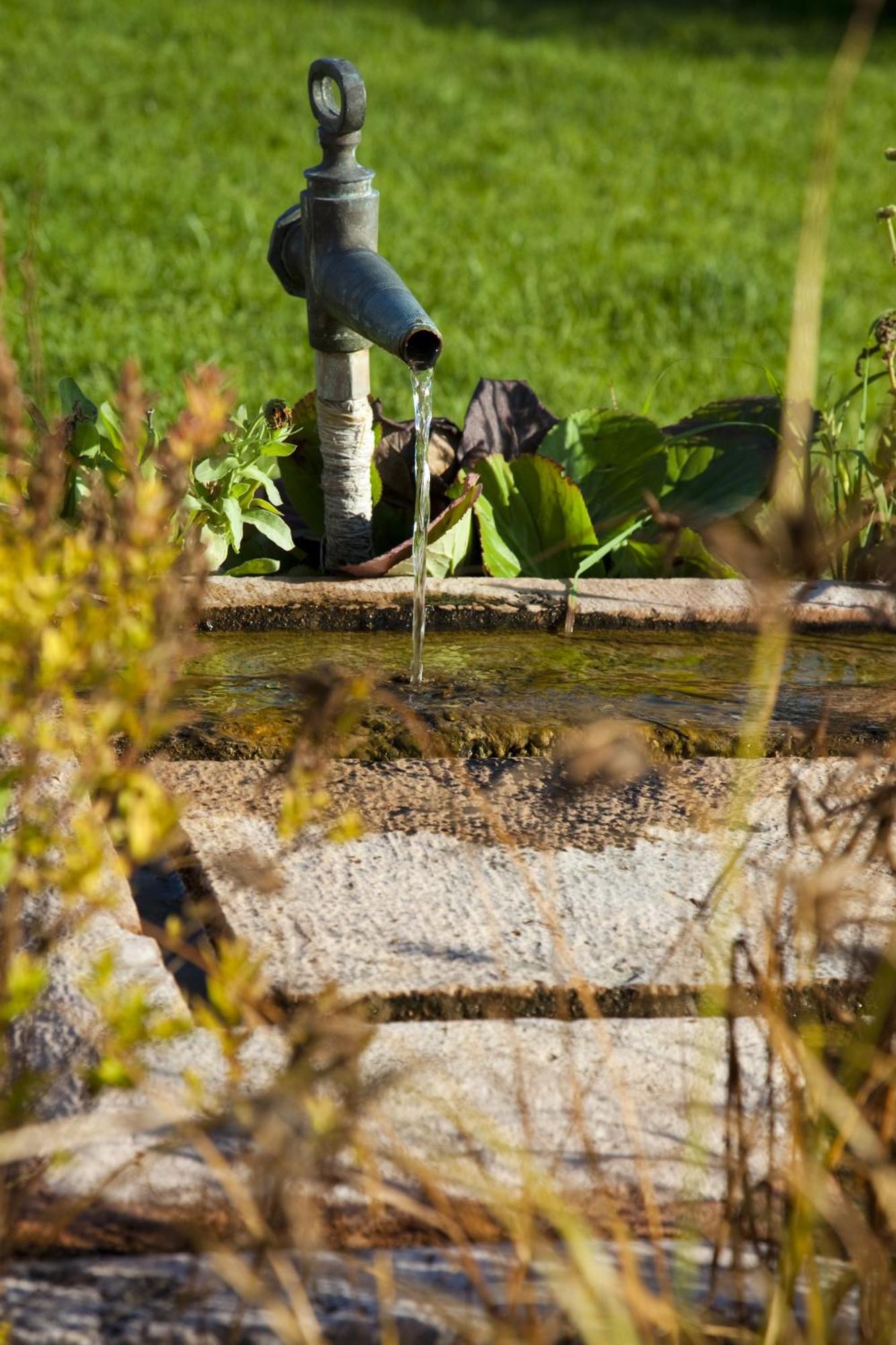 באלאטונפורד Koczor Winery & Guesthouse מראה חיצוני תמונה