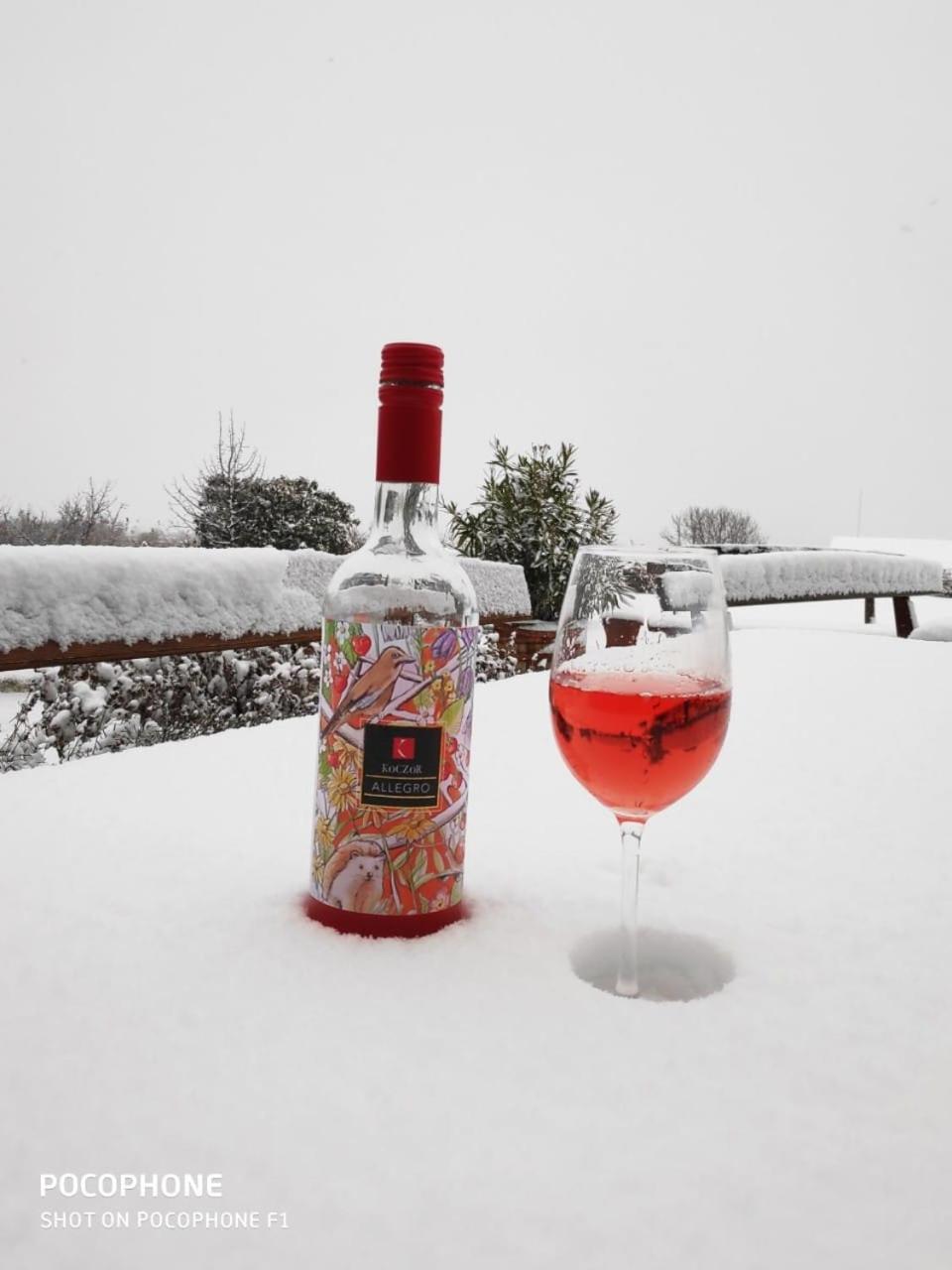 באלאטונפורד Koczor Winery & Guesthouse מראה חיצוני תמונה