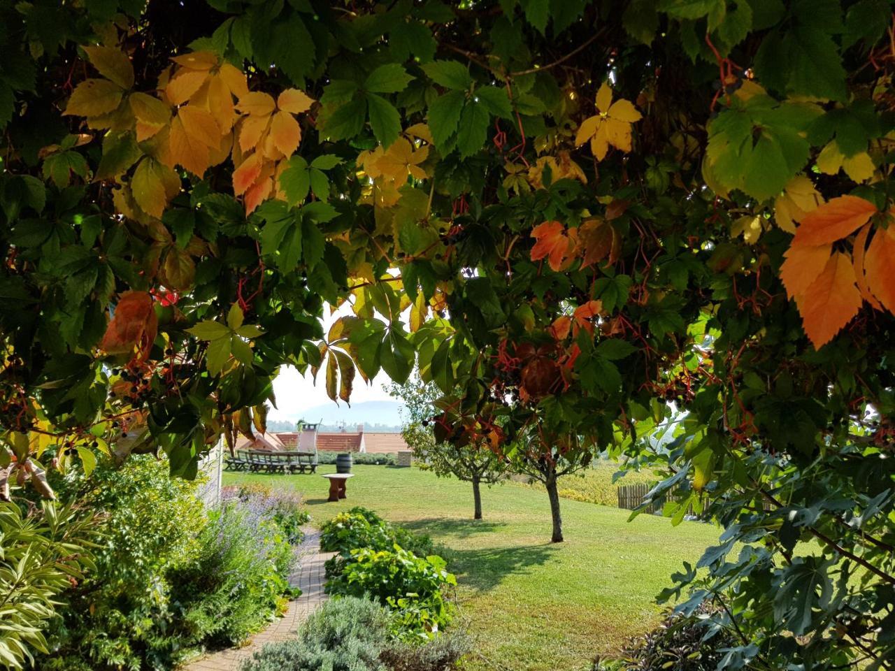 באלאטונפורד Koczor Winery & Guesthouse מראה חיצוני תמונה